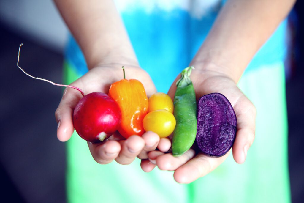 Gemüse in Hand. Von links: Radieschen, Paprika, gelbe Tomate, Erbse, lila Frucht 